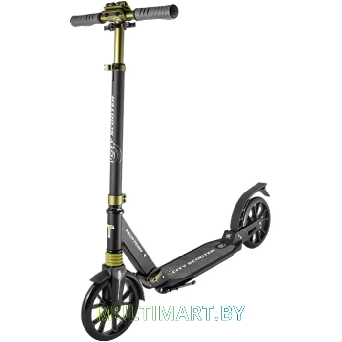 Самокат Tech Team City Scooter 2020 (черный)